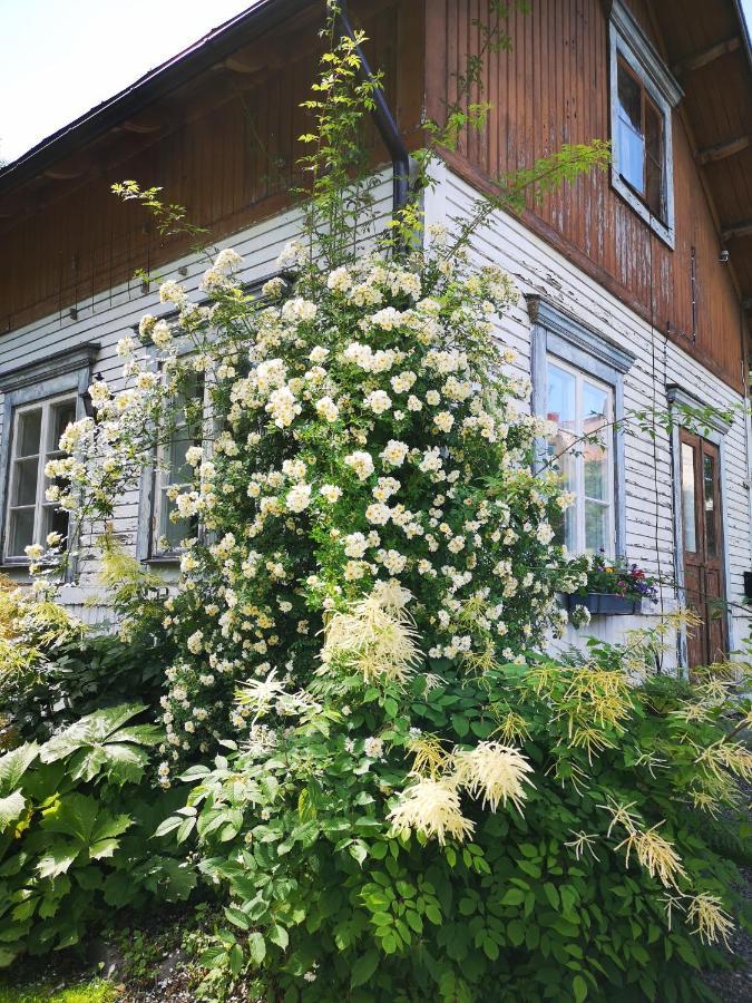 Disponentparken Cafe Och Bed & Breakfast Grängesberg Exterior photo