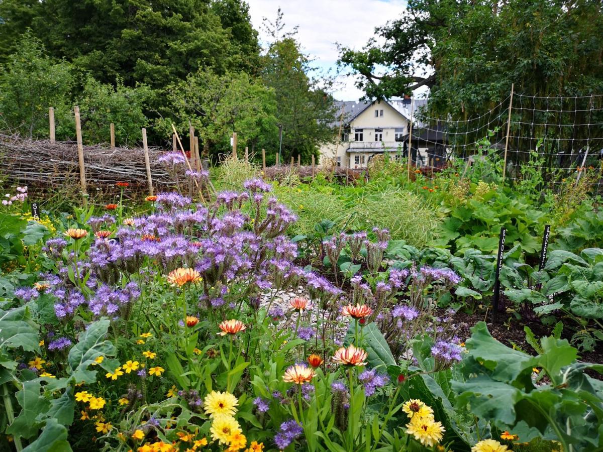 Disponentparken Cafe Och Bed & Breakfast Grängesberg Exterior photo